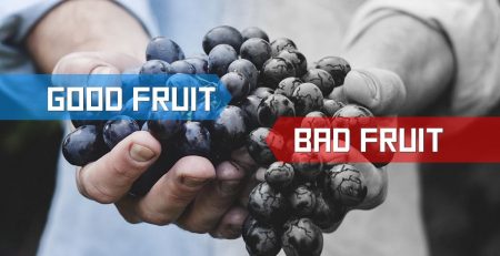 Discerning between good fruit and bad fruit of the Spirit.