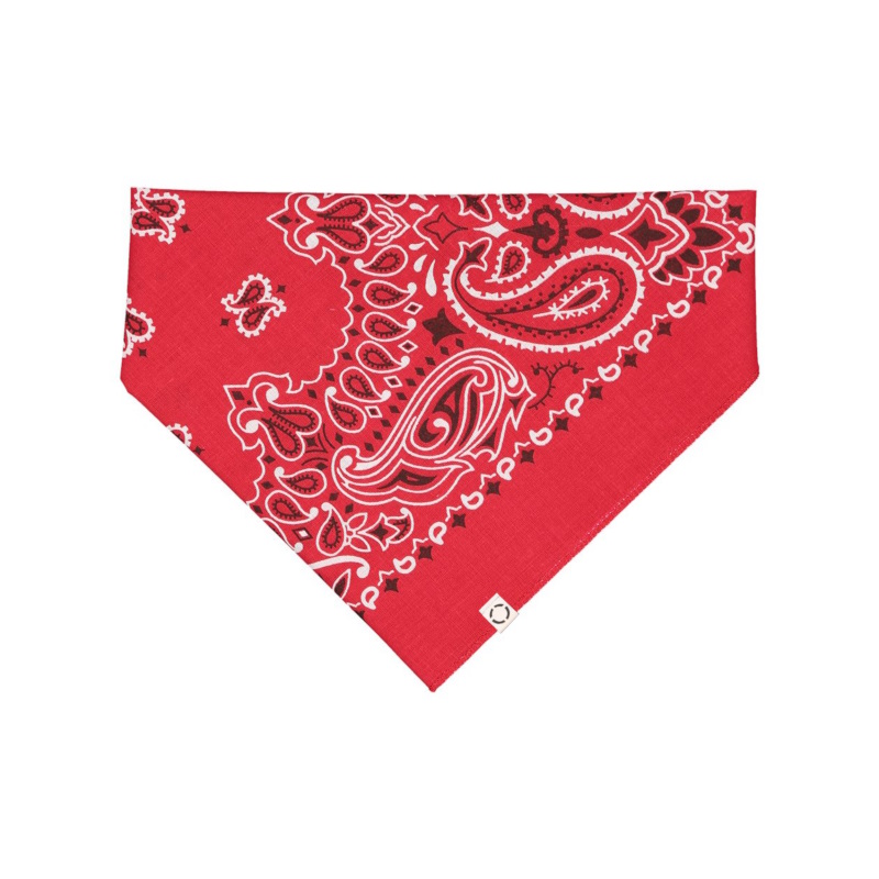 Red Paisley, One, dog bandanna with white woven label.