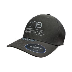 Dark Grey adjustable Flexfit NU Snapback Cap with Dark Grey OWTL (One Way Truth Life) logo, OSFM, side-front view.